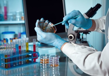 Исследования кала